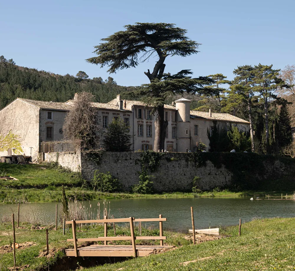 Château de Gaure seen across the pond, with its old cedar tree