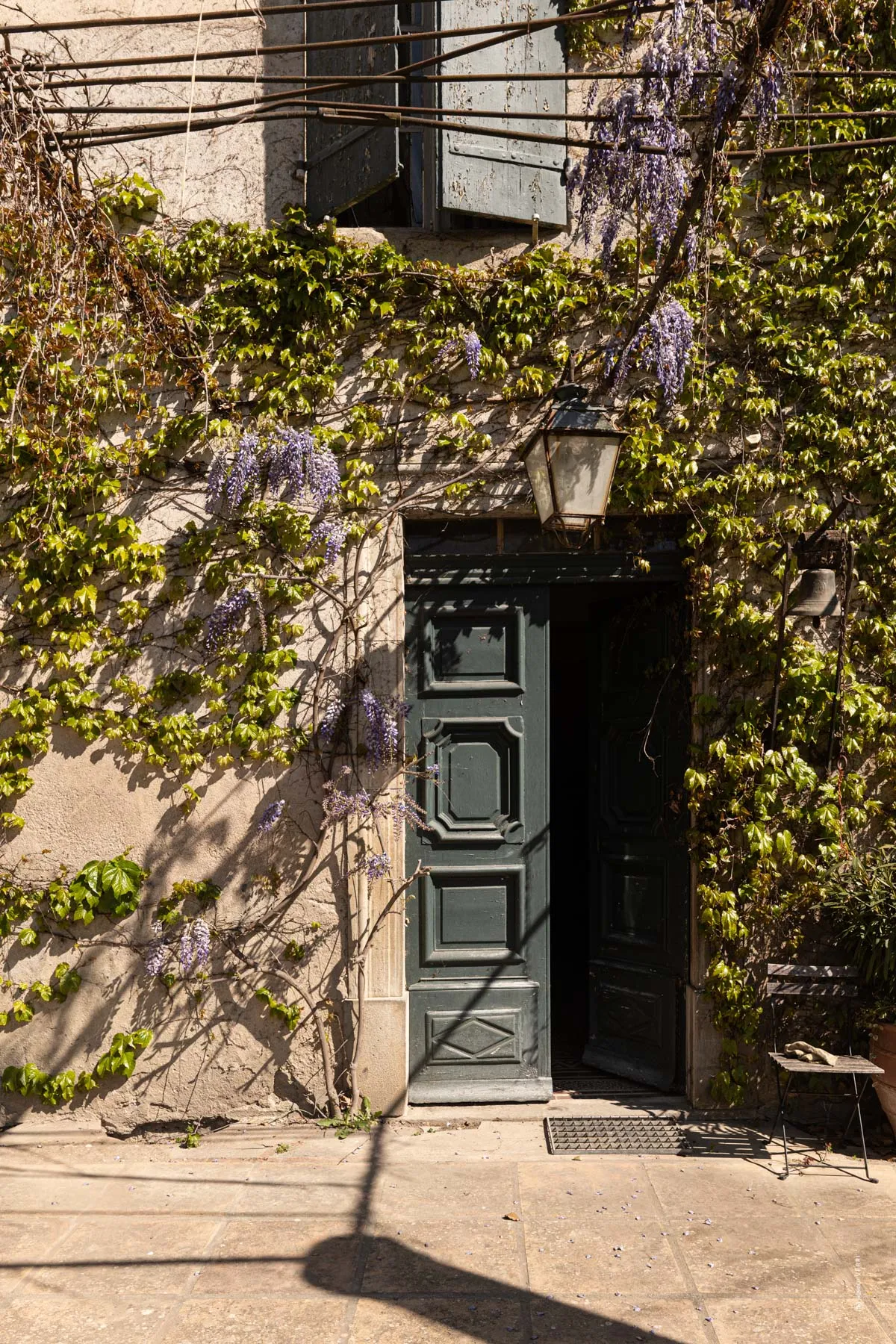 The wisteria-covered front door of the château