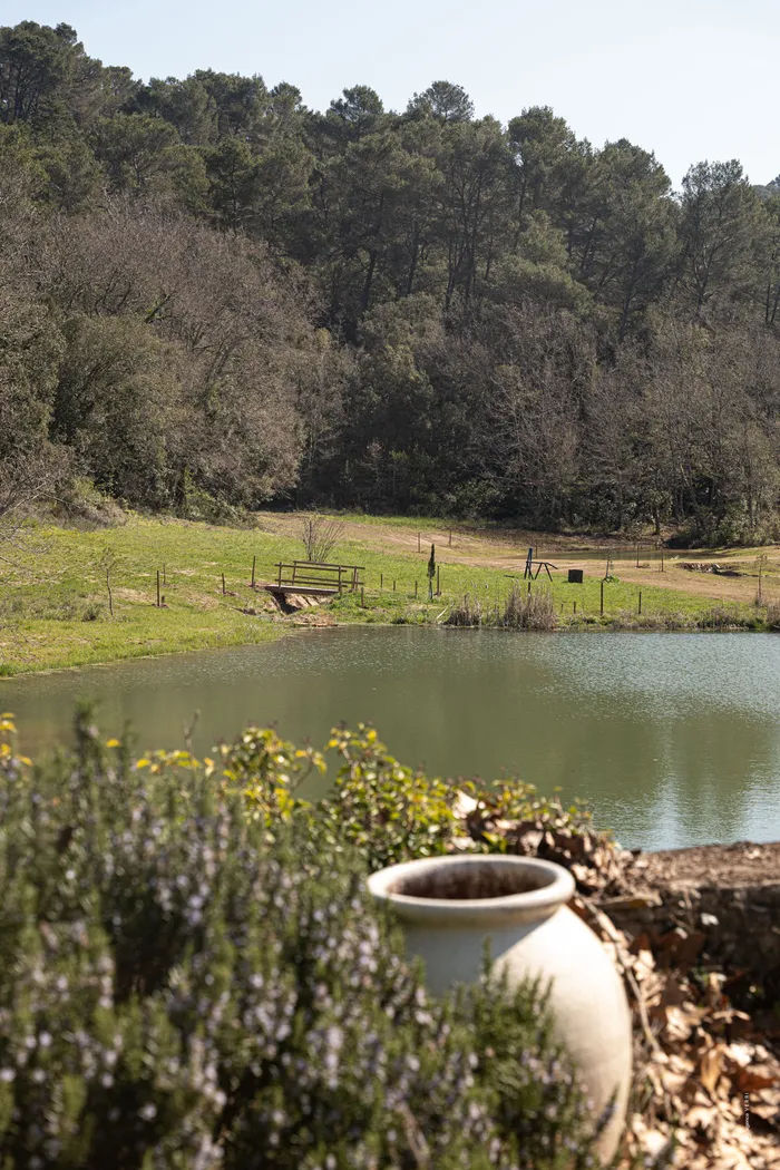 The estate's pond and garden