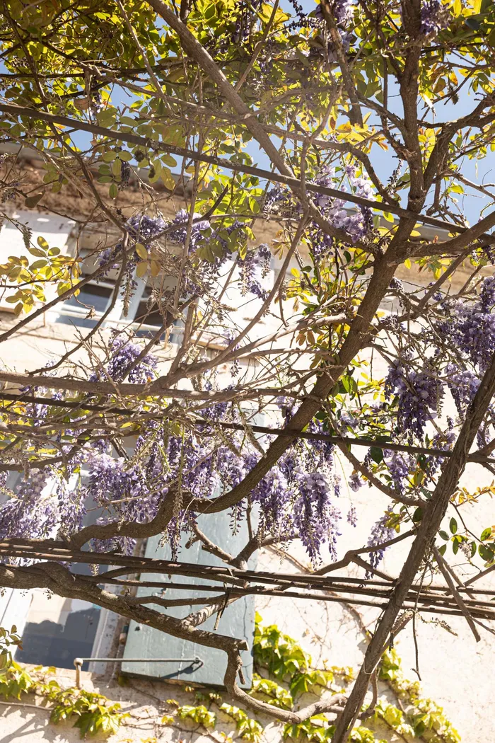 Detail of the estate